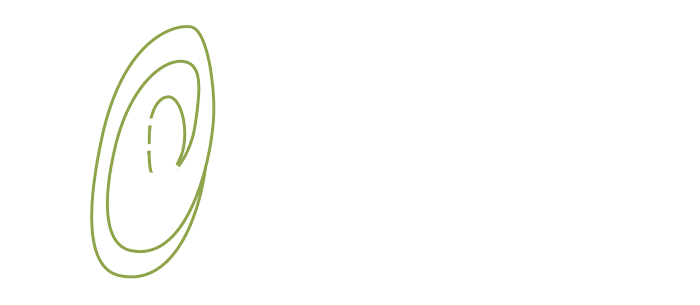 Lead Architects